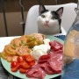 수쌤이 알려주는 고양이집밥 레시피 고양이화식 레시피, 고품질 단백질 수분 풍만, 고양이 변비 관리