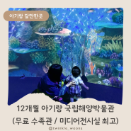 [12개월아기랑 국립해양박물관]무료 수족관/미디어전시실 추천