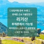 스위스여행 루체른에서 리기산 가는법 유람선 웹캠 산악열차