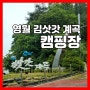 영월 김삿갓 계곡 캠핑장 이용후기