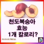 천도복숭아 효능 부작용 영양성분: 천도복숭아 1개 칼로리는?