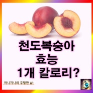 천도복숭아 효능 부작용 영양성분: 천도복숭아 1개 칼로리는?