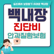 백내장 진단비 안과질환보험, 24년 6월 10일 출시! 백내장진단,백내장수술,녹내장진단 등 안과에 대한 보상 가능!