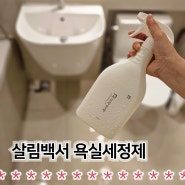 화장실 청소하는법 살림백서 화장실청소세제