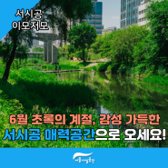 6월 초록의 계절, 감성 가득한 서시공 매력공간으로 초대합니다!