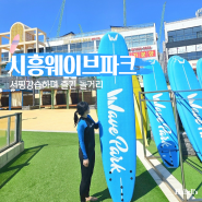 시흥 웨이브파크 서핑 강습 찐후기 물놀이 거북섬 놀거리