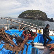 제주도사랑 성산스쿠버 리조트와 함께 수중정화활동