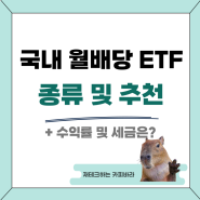 한국 월배당 ETF 종목 및 종류 추천 (ft. 세금)