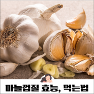 마늘껍질효능 마늘 껍질 차 끊이는 방법 섭취 부작용