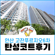 안산 탄성코트 고잔푸르지오6차 베란다 페인트 도색