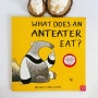 What does an Anteater eat? 엉뚱한 개미핥기의 반전 있는 영어 그림책