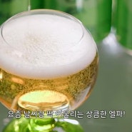 오비맥주 편의점 신제품, 시원상큼 여름맥주 '엘파(ELLPA)'