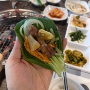 [남양주 맛집] 직접 기른 쌈채소와 함께하는 고기맛집, 늘푸른정원(모임하기 좋은 곳!)
