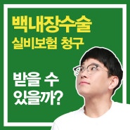 백내장수술 보험금 논란! 실비보험 청구 노하우를 알려드립니다.[100점보험]