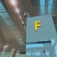 인천 공항, 후쿠오카 공항 진에어 가격 LJ0261 좌석 수하물 규정 출발 지연 후기