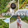 [김삿갓아리랑장터] 영월 앵두 따기 무료체험