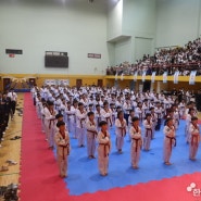 '제26회 은평구청장기 태권도대회' 성황리 개최... 한체대라온태권도장 2년 연속 종합우승