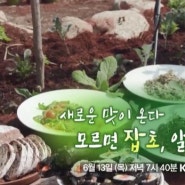 한국인의 밥상 660회 잡초 연천 물쑥 동구리마을 영주 바보농부들