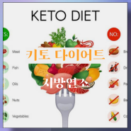 키토 다이어트란? 지방연소 포도당 연소 : 지방태우기