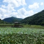 상리연꽃공원 / 고성