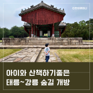 노원 아이랑 가볼만한곳 태릉과 강릉 숲길 개방 입장료 및 주차정보(자전거 타고 가기 좋아요!)