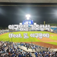 [생활교양] 한국야구입문 기초상식 ⚾️ 🧢 (Feat. 룰, 야구용어)