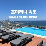 강원도 홈마리나 속초 반얀그룹 신상 호텔 디럭스룸 수영장 조식