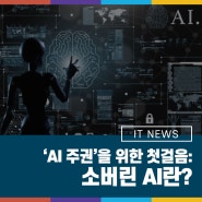‘AI 주권'을 위한 첫걸음: 소버린 AI란?