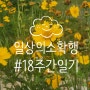 [DAILY] #18 제철 행복 (feat. 부지런한 J의 일상 /만개의레시피 쉐프/ 목포 1박2일 여행 유달콩물 황박사쫀디기)