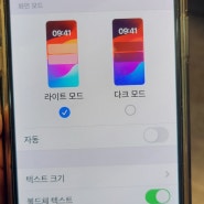 아이폰 볼드체텍스트 설정하기