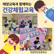 [태양교육]건강체험교육_ 안양부안초등학교(안양)에 다녀왔어요!