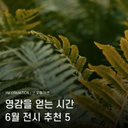 영감을 얻는 시간, 6월 전시 추천 5