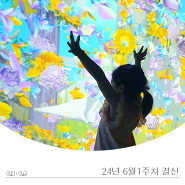 50만원가계부_2024년 6월 1주차 결산