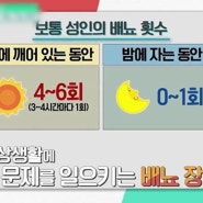 다뇨증 소변량 횟수 이상 있다면