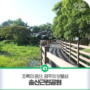 초록의 광산, 광주의 보물섬 송산근린공원