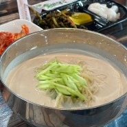 [ 어쩌다리뷰 ] 무더운 날씨엔 시원한 콩국수! 콩국수 맛집, 냉면콩국수_세종