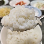 단일 품종 농협쌀 냄비밥 하는법 시간 철원 오대쌀