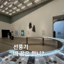 서울 전시 국립현대미술관 서울관 «사물은 어떤 꿈을 꾸는가»