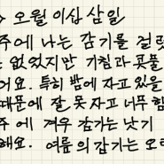 [한국어수업/중급1] 일기쓰기 첨삭 ( HSS / 일본)-47