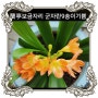 [蘭亭6월愛]군자란의 행복/없지만 있는 것