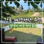 댕댕이애견펜션블루 :: 강릉 애견펜션 솔직후기