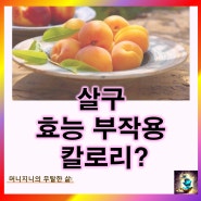 살구 효능 부작용 영양성분 혈당 당뇨: 살구 칼로리는?