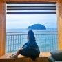 충남 태안펜션 오션뷰 가족여행 단체 해루질 가능한 물닭섬 근처 숙소