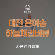 대전 은어송 하늘채리버뷰 | 사전점검 업체 점검하우