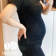 임신 18주-19주차 남매쌍둥이 배크기, 쌍둥이 임신 몸무게, 임산부 운동