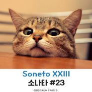 스페인어로 시 읽기 SonetoXXIII(소네트 23)_ Pablo neruda_빠블로 네루다