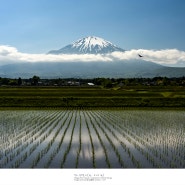 [Mt.Fuji, 富士山] 쌀 이야기, 후지산