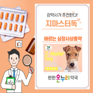 강아지 바르는 심장사상충약 개진드기 예방약 지마스터독