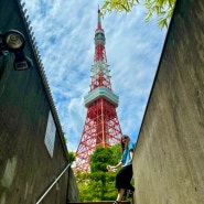 [도쿄 여행] 도쿄타워 숨은 사진 스팟 공유!