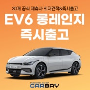 EV6 롱레인지 무보증 출고 후기 및 월 10만 원 프로모션